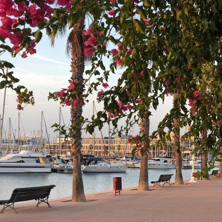 10-46-1- Комната В Квартире Для 4 Человек В Аликанте Alicante Exteriér fotografie